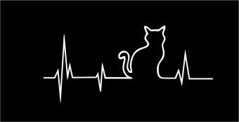 Heartbeat poes