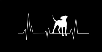 Heartbeat hond
