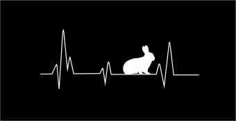Heartbeat konijn