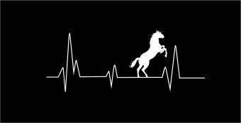 Heartbeat paard